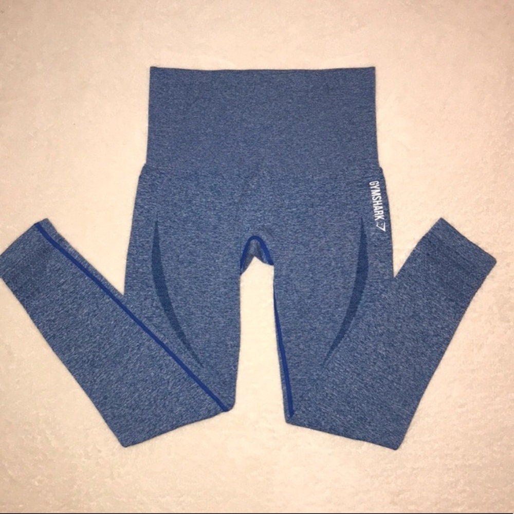 Gymshark blueberry seamless leggings